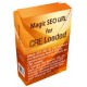 Magic SEO URLs for CRE Loaded v6.x 4.0